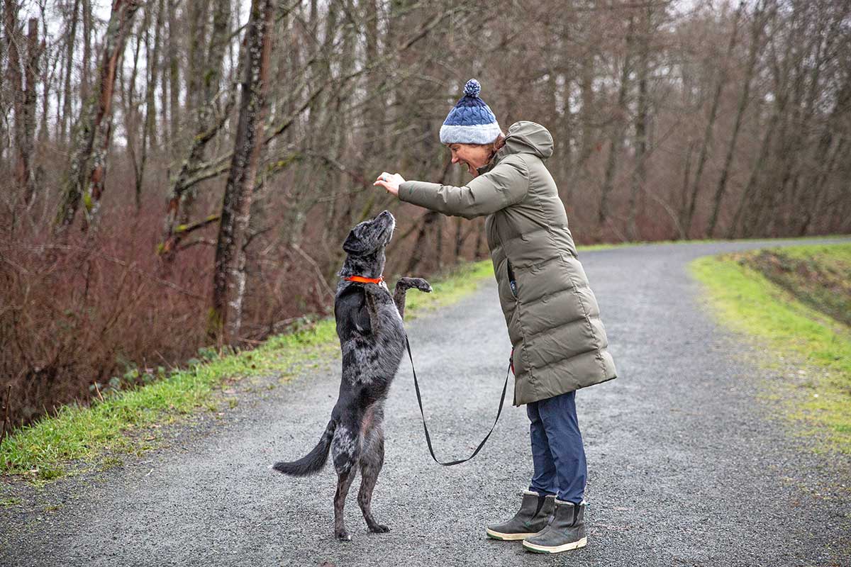 Patagonia Jackson Glacier Parka (playing with the dog)